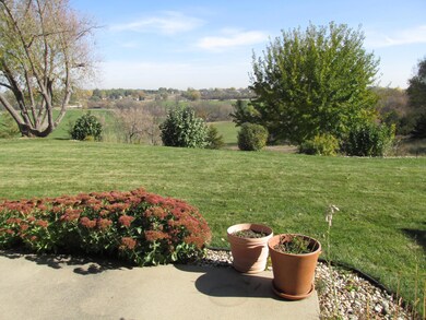 Back yard v1