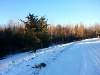 26.6 acres Old Highway 51 unit `and Nelson Avenue, Merrill, WI 54452 - photo 6