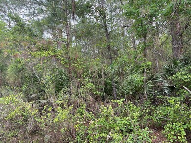 0 Kola Rd unit O6015271, New Smyrna Beach, FL 32168 - photo 3