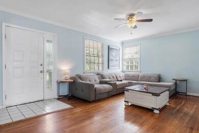 Hardwood Floors, Natural Light