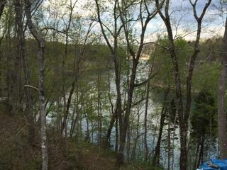 25-LakeView_springDNL