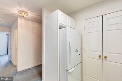 2013 Rudy Serra Dr unit 3B, Sykesville, MD 21784 - photo 7