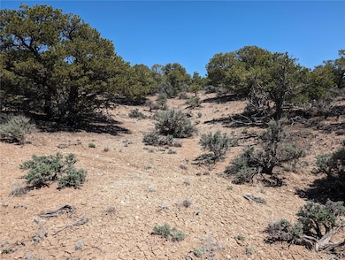 0 Icehouse Rd unit REC5283425, Fort Garland, CO 81133 - photo 5