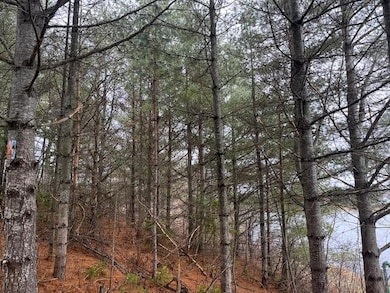 58 & 60 Pondview St, Limestone, ME 04750 - photo 6