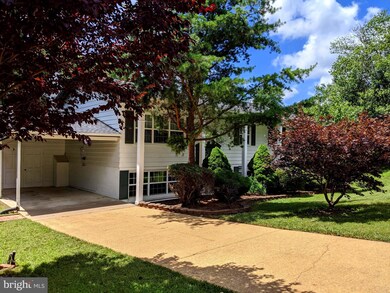 5022 Chanticleer Ave, Annandale, VA 22003 - photo 3