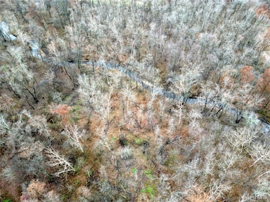 00 Pyrite Dr, Bible Grove, IL 62858 - photo 5