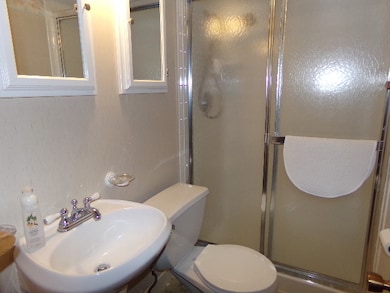 779 N Emroy Ave, Elmhurst, IL 60126 - photo 7