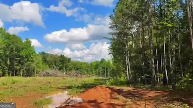 125 Little Rd NW, Milledgeville, GA 31061 - photo 4