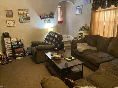 1118 Dartmouth Ave SW, Canton, OH 44710 - photo 4