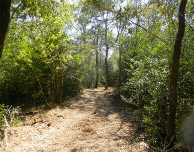 0 Old Joseph Rd, Hockley, TX 77447 - photo 6