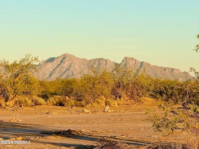 TBD Silver Bell Rd Lot #1 4 67 Ac, Casa Grande, AZ 85193 - photo 3