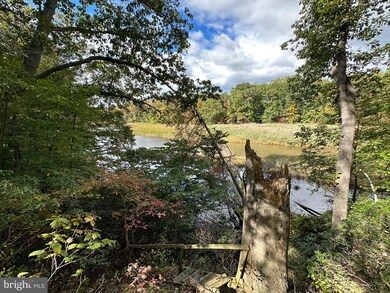 23628 Canvasback Rd, Chestertown, MD 21620 - photo 4