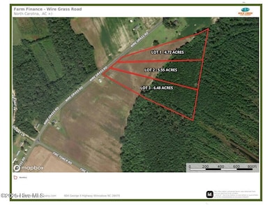 Lot 3 Wire Grass Rd, Orrum, NC 28369 - photo 4
