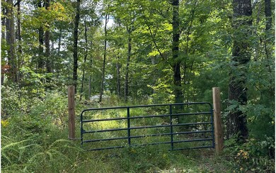 11758 Chatsworth Hwy, Ellijay, GA 30540 - photo 4