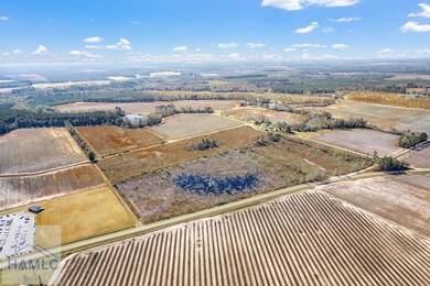 Lot 4 Camp Ground Rd, Claxton, GA 30417 - photo 7