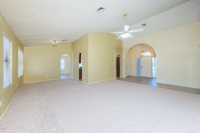 Brand new carpet!