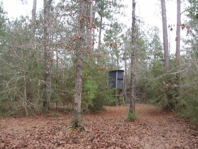 1160 Conerly Dr, McComb, MS 39648 - photo 4