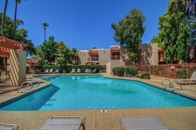 Complex Pool