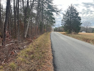 4.1 Acs Leda Rd, Nathalie, VA 24577 - photo 4