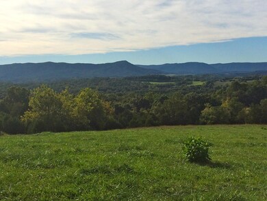View 1