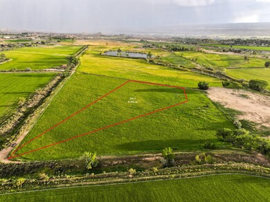 TBD 6725 Rd unit 2, Montrose, CO 81401 - photo 3