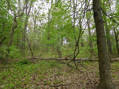 DSCN1400_2513