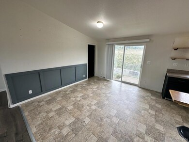 1326 Kaufman Rd, Hartsel, CO 80449 - photo 6