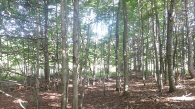 0 Henry Rd unit KEY909778, Cragsmoor, NY 12420 - photo 6