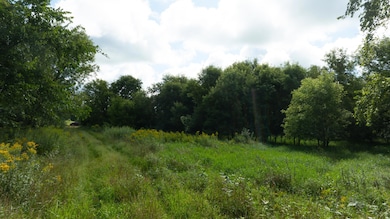 Lot 2 280th St, Glenwood City, WI 54013 - photo 7