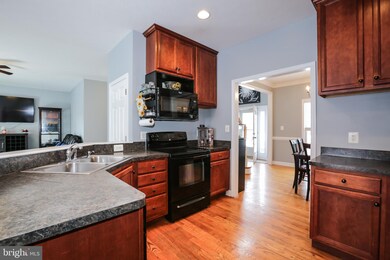 683 Dellinger Dr, Strasburg, VA 22657 - photo 6