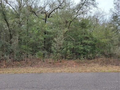 TBD SW Gering Blk 3 Lot 31 Ct, Dunnellon, FL 34432 - photo 4