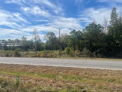 3 43rd St, Northport, AL 35473 - photo 5