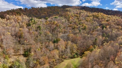 Rock Creek Ridge Rd, Bakersville, NC 28705 - photo 3