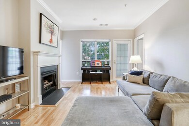 4551 Strutfield Ln unit 4329, Alexandria, VA 22311 - photo 2