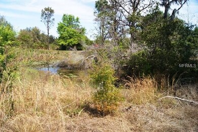 POND IN BACK