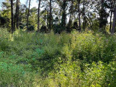 xxx Chippewa Rd, Crawfordville, FL 32327 - photo 3