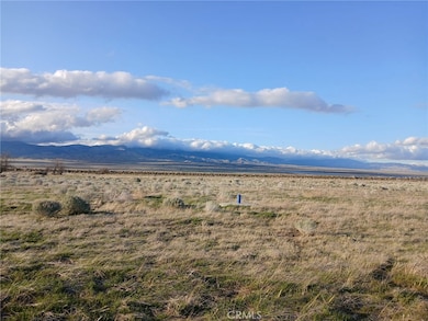 26600 266th St W, Lancaster, CA 93536 - photo 3