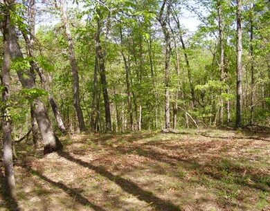 14794 Slaty Gap Rd, West Fork, AR 72774 - photo 5