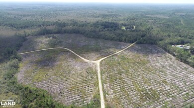 0 County Line Rd unit 18961791, Hinesville, GA 31313 - photo 5