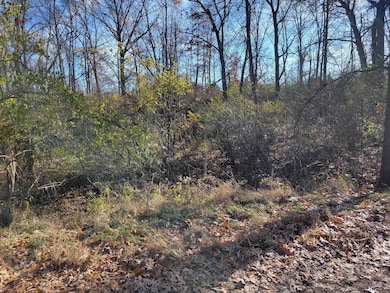 9951 Southlawn Cir, Lake Leann, MI 49249 - photo 2