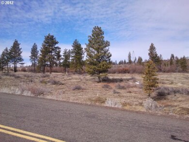 0 Bickleton Hwy unit 17 12542103, Bickleton, WA 99322 - photo 3