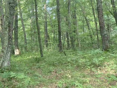 60 Acres 22nd St, Cutler, WI 54618 - photo 4