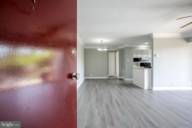 3706 N Rosser St unit 204, Alexandria, VA 22311 - photo 3