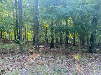 Lot 8 Kelham Ln, Bella Vista, AR 72715 - photo 7