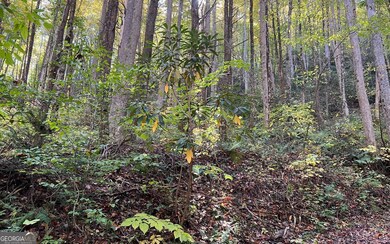 TR 1 Tusquittee Rd, Hayesville, NC 28904 - photo 5