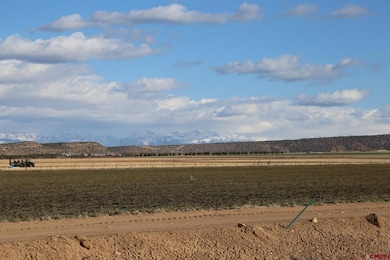 LucaTBD Lot 3 5790 Rd, Montrose, CO 81403 - photo 6