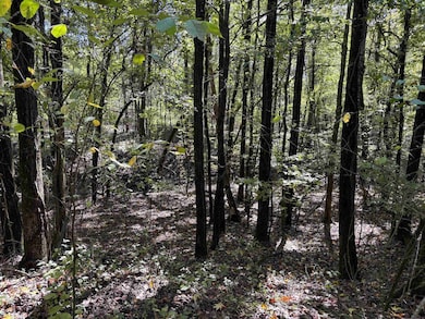 0 Bethuel Rd unit Lot 6, Unincorporated, TN 38053 - photo 6