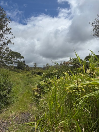 Unpaved overgrown access to the property the road has improvements only so far: does not go all the way to property
