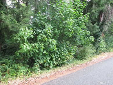 0 80th St SW, Longbranch, WA 98351 - photo 2