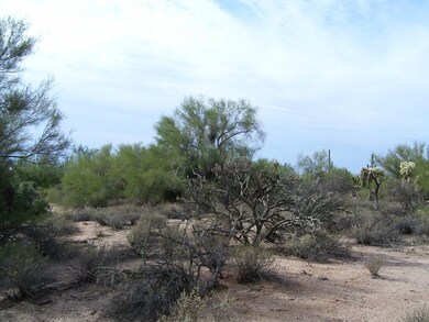 Lot 216-67-238 Looking West